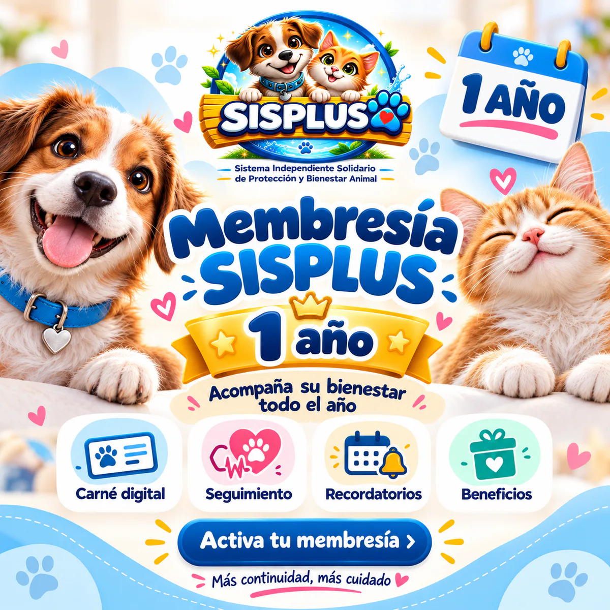 💙 Membresía SISPLUS Digital | 1 año