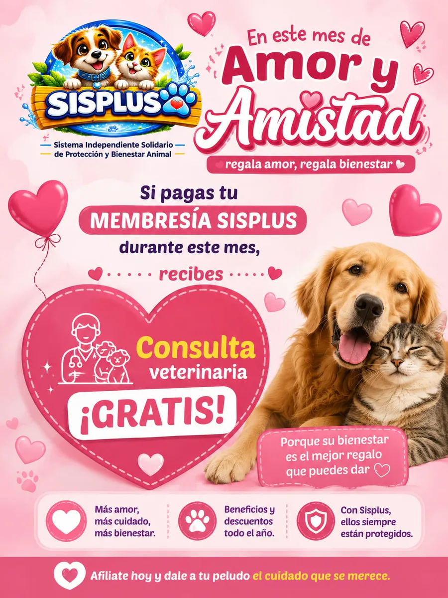 Galería Sisplus Digital
